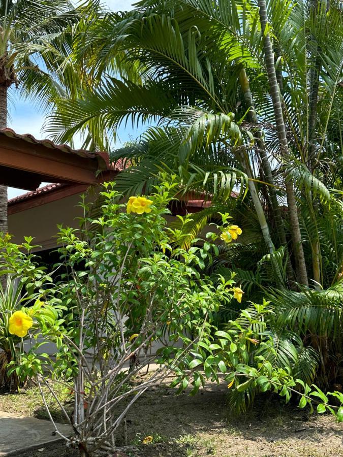 Samui Garden Resort Bang Rak Beach  Exteriör bild
