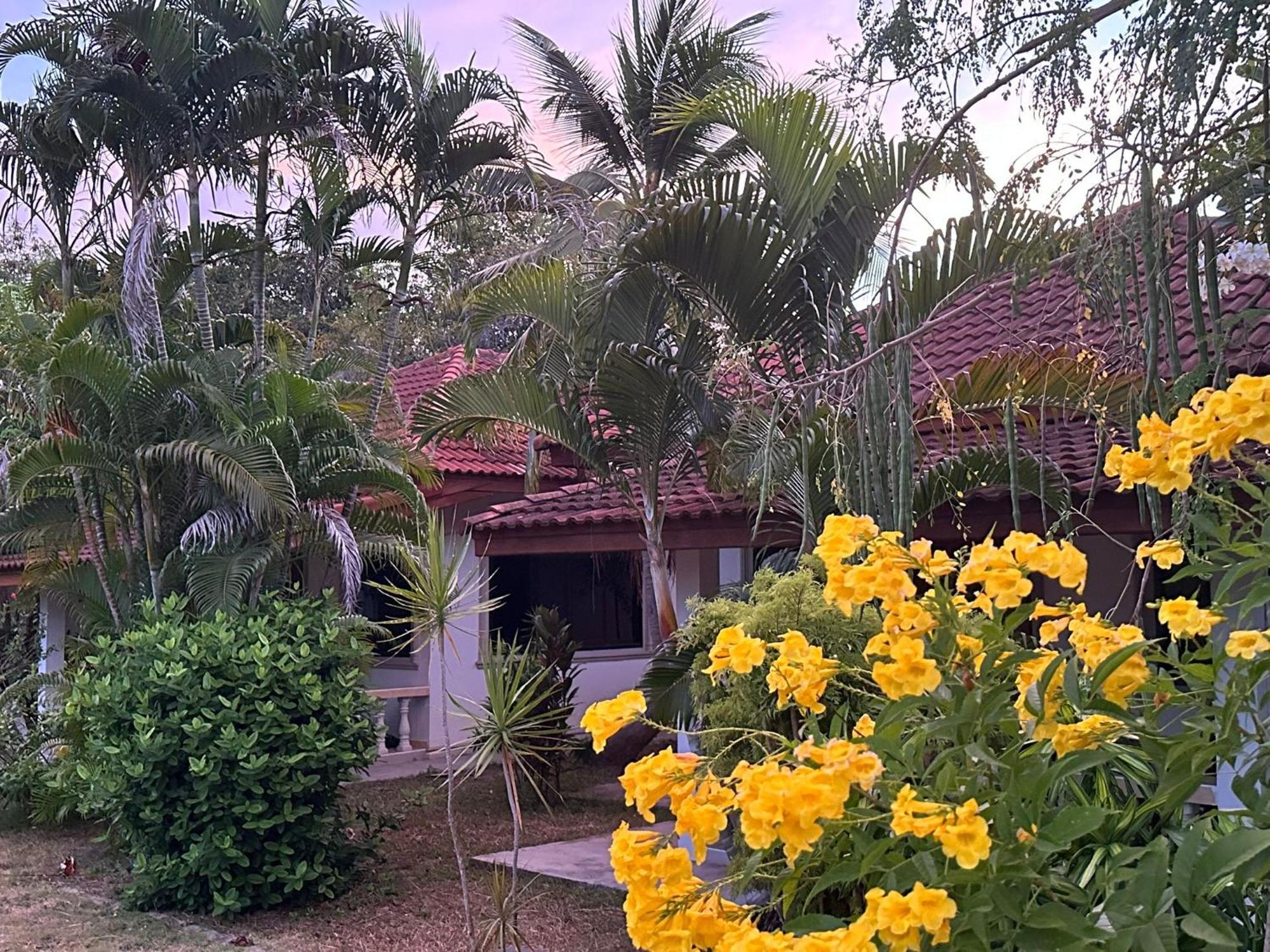 Samui Garden Resort Bang Rak Beach  Exteriör bild