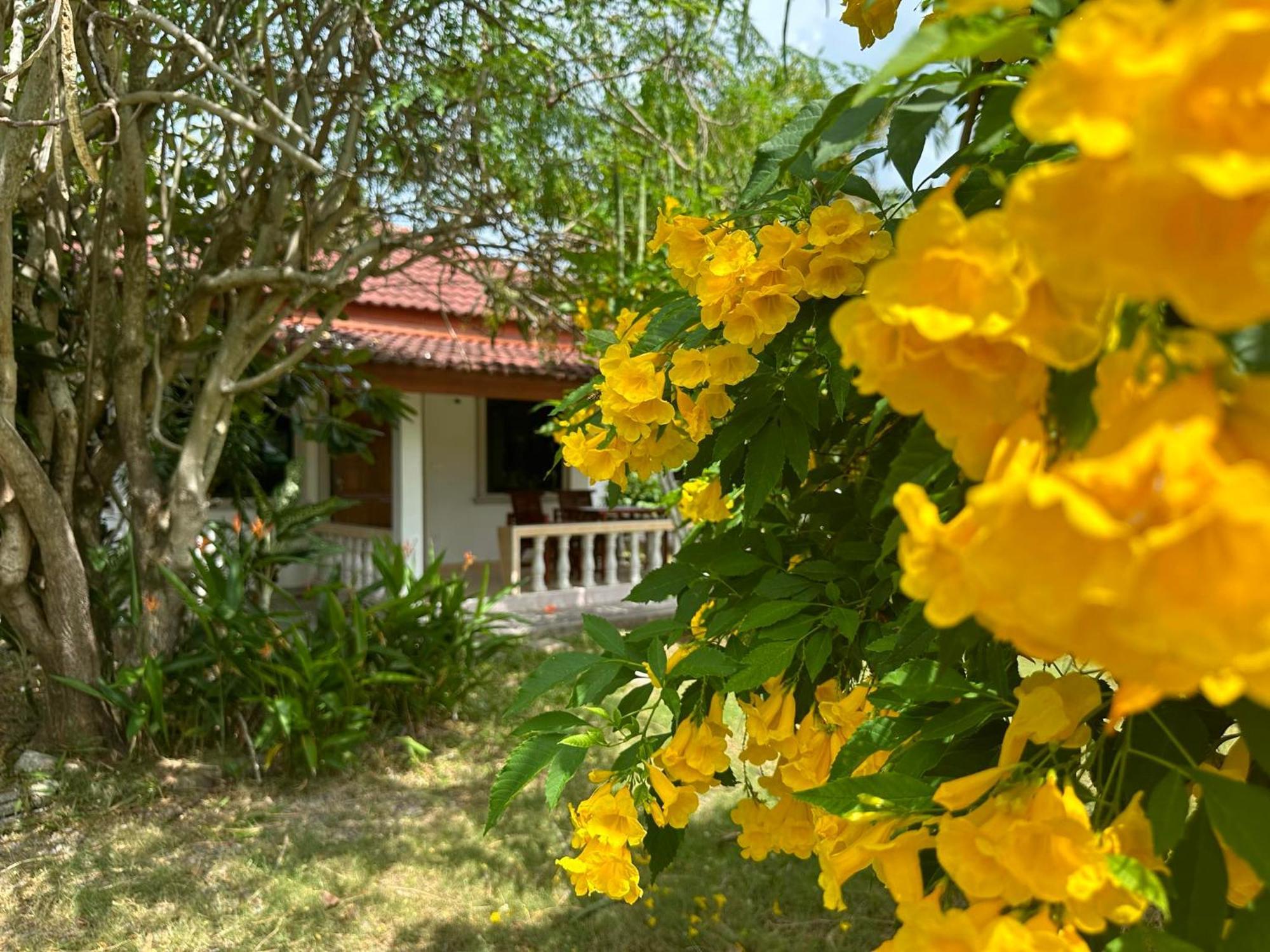 Samui Garden Resort Bang Rak Beach  Exteriör bild