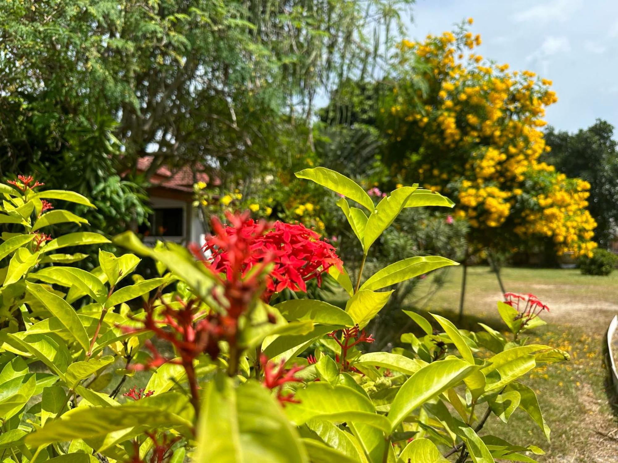 Samui Garden Resort Bang Rak Beach  Exteriör bild