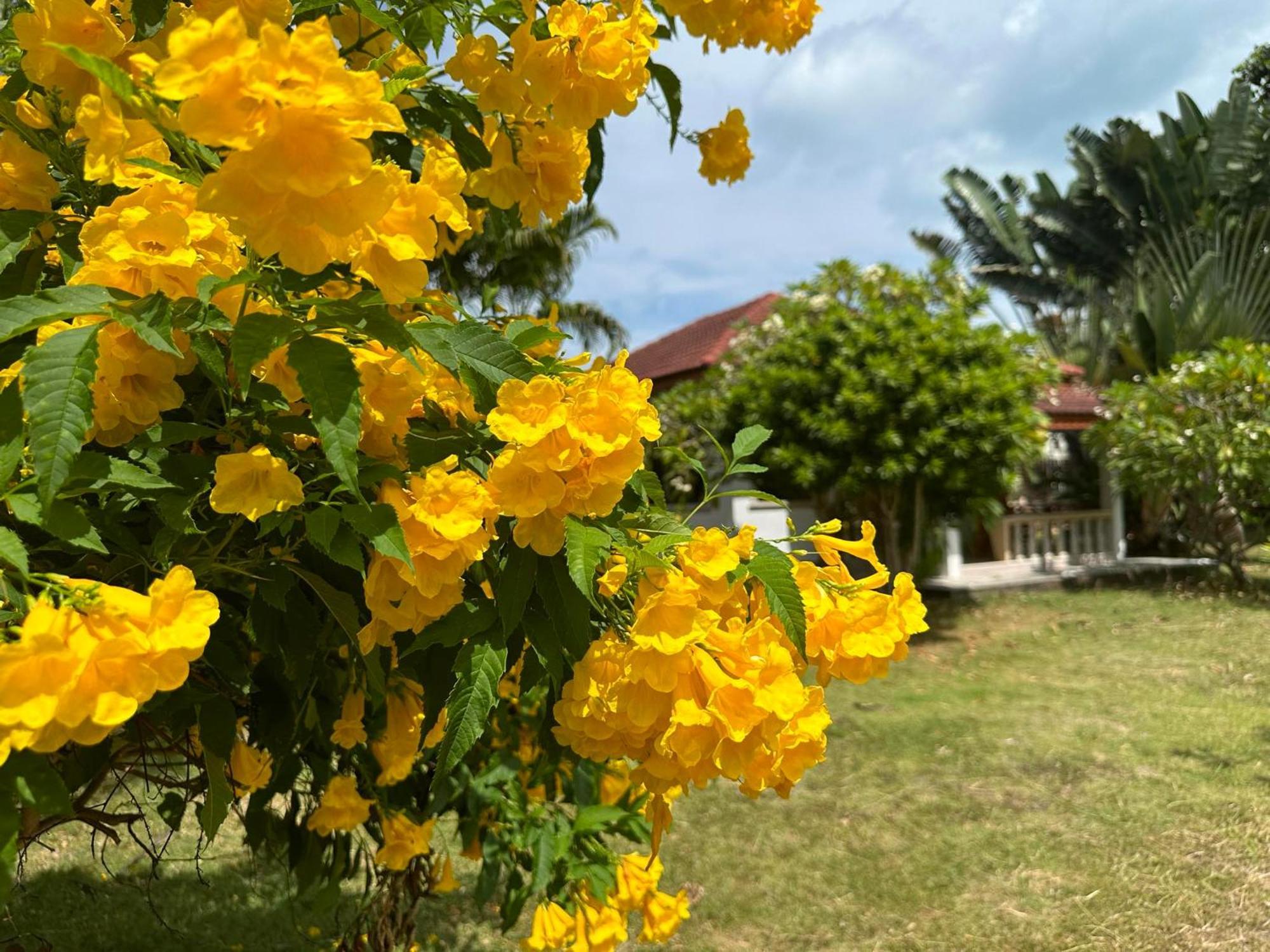 Samui Garden Resort Bang Rak Beach  Exteriör bild