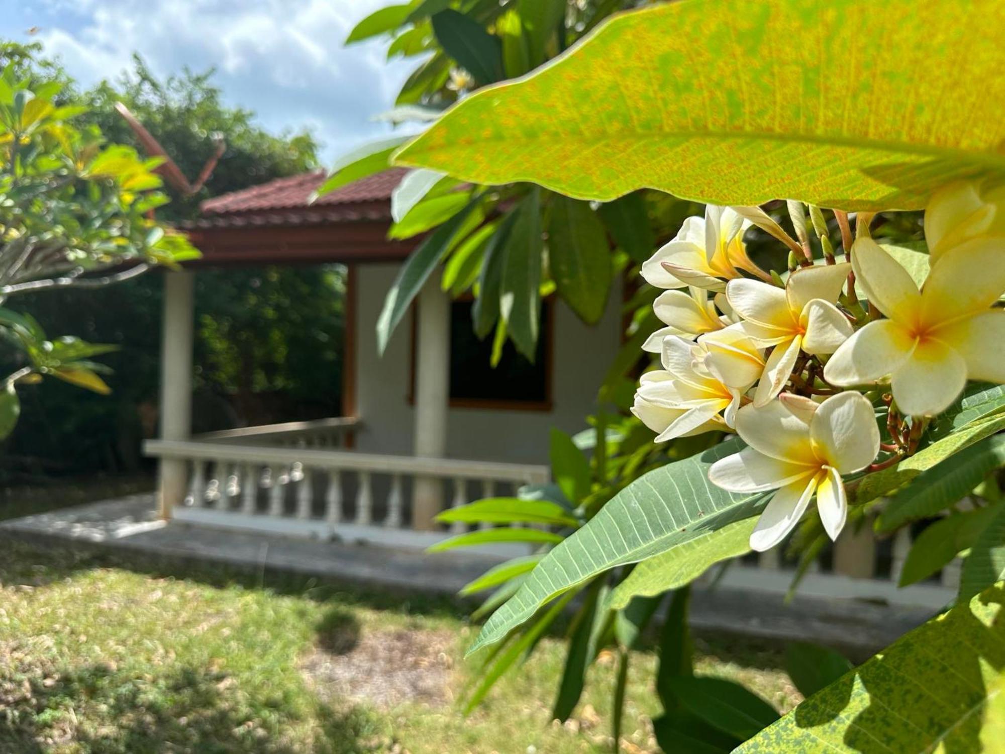 Samui Garden Resort Bang Rak Beach  Exteriör bild