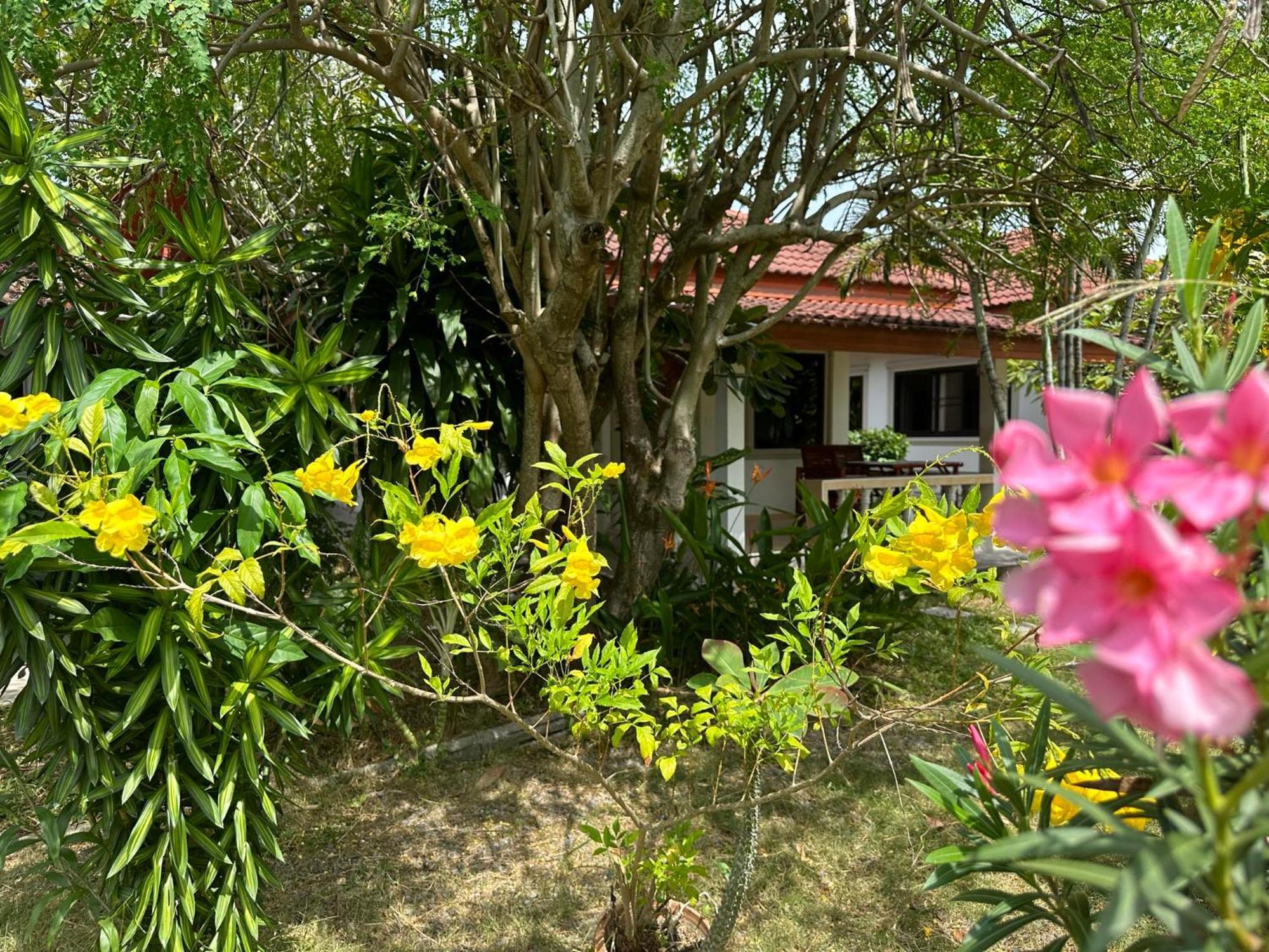 Samui Garden Resort Bang Rak Beach  Exteriör bild